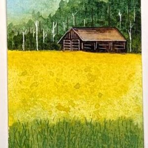 Canola field in bloom, outside Edmonton, Canada