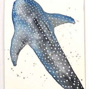 Whale Shark