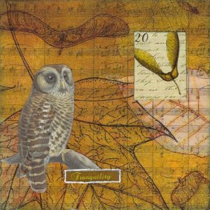 Nov ATART - Tranquility Owl