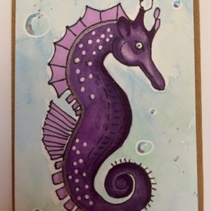 Seahorses