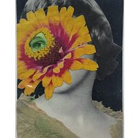 A Rare Flower