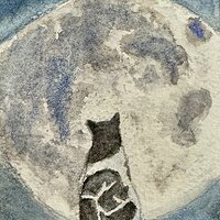 Nov PAT Grp2 - wildholly