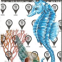 Atcs4All Jan 2024 Prompts B.jpg
