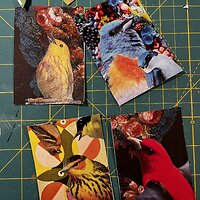 National Bird Day (the January Weird Holidays Swap)