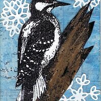 Winter birds swap - woodpecker