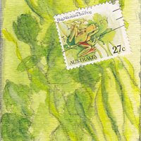 PS athon 6 green frog.jpg