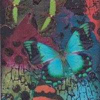 TRADED JuneAthon06 dark butterflies.jpg