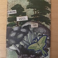Grow With Us