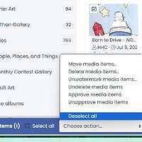 moving item to another album