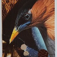 Traded SHINY OBJECTS