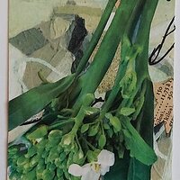 Traded YOD FAH BROCCOLI