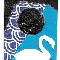 "Solitary Swan"