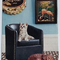 Traded GAIUS & BOOP'S ROOM