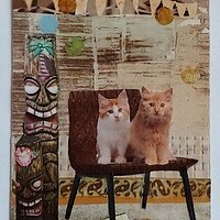 Traded AT THE TIKI BAR