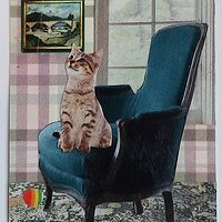 Traded MISS KITTERS