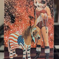 Space pony