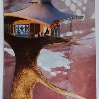 Traded STAGHORN TREEHOUSE