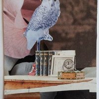 Traded THE OWL BUREAU