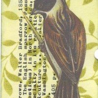 Library Card Swap English sparrow