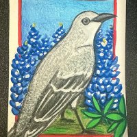 Mockingbird + Bluebonnets