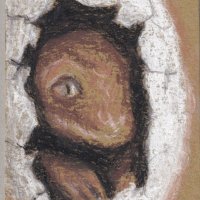 Conte on toned paper