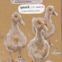 Don’t let ducks be doctors.jpeg