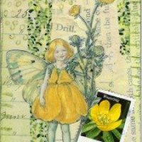 Buttercup fairy