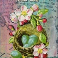 ED ATART - bird nest