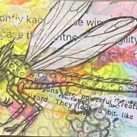 Zetti Dragon.fly.jpeg