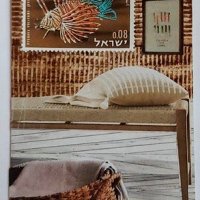 Traded INDO-PACIFIC VIBE