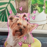 Puddin' Pop Goes Poolside