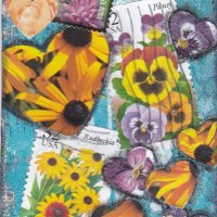 CHATHON10 No Mow May.jpg