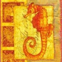 Solstice ATART - Seahorse