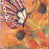 July athon 03 butterfly on orange flowers.jpg