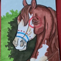 War Pony