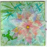 4X4 Water Lily
