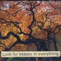 A New Perspective - beauty from the underside