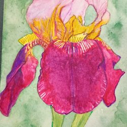 PIF post card swap
