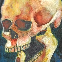 Skull post-card