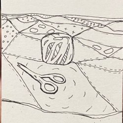 Bat in the quilt.jpeg