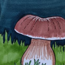 Bolete Mushroom