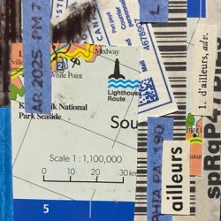 Recycle collage.jpeg