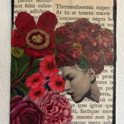 Stop and smell the words