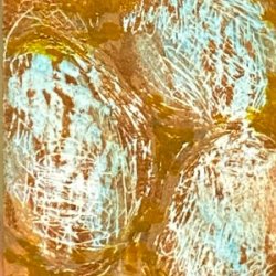 Spring Afternoon.jpeg