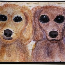 Pals