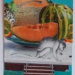 Traded CAICOS TURQUOISE