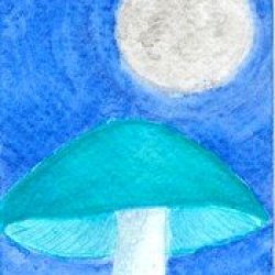 Moonlit Mushroom