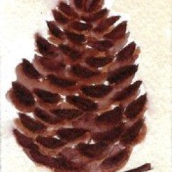 Sixth Color Cube - Pinecone