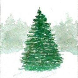 PreC Athon snowy tree