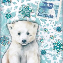 PCNY athon 07 polar cub.jpg